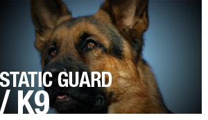 Static Guard / K-9